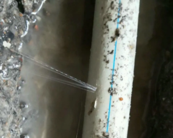 双阳卫生间测漏水多少钱
